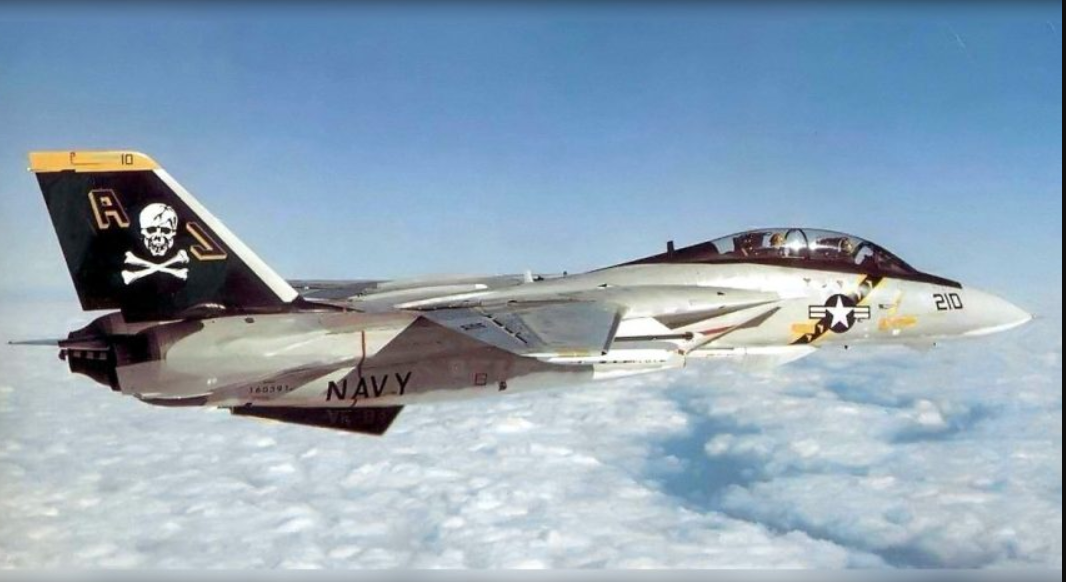 F-14 TOMCAT - Plane Kit Card (Collectible)