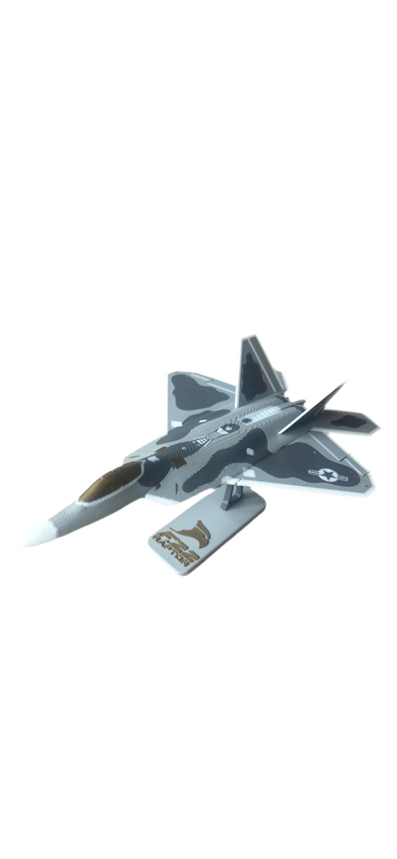 F-22 Raptor - Plane Kit Card (Collectible)