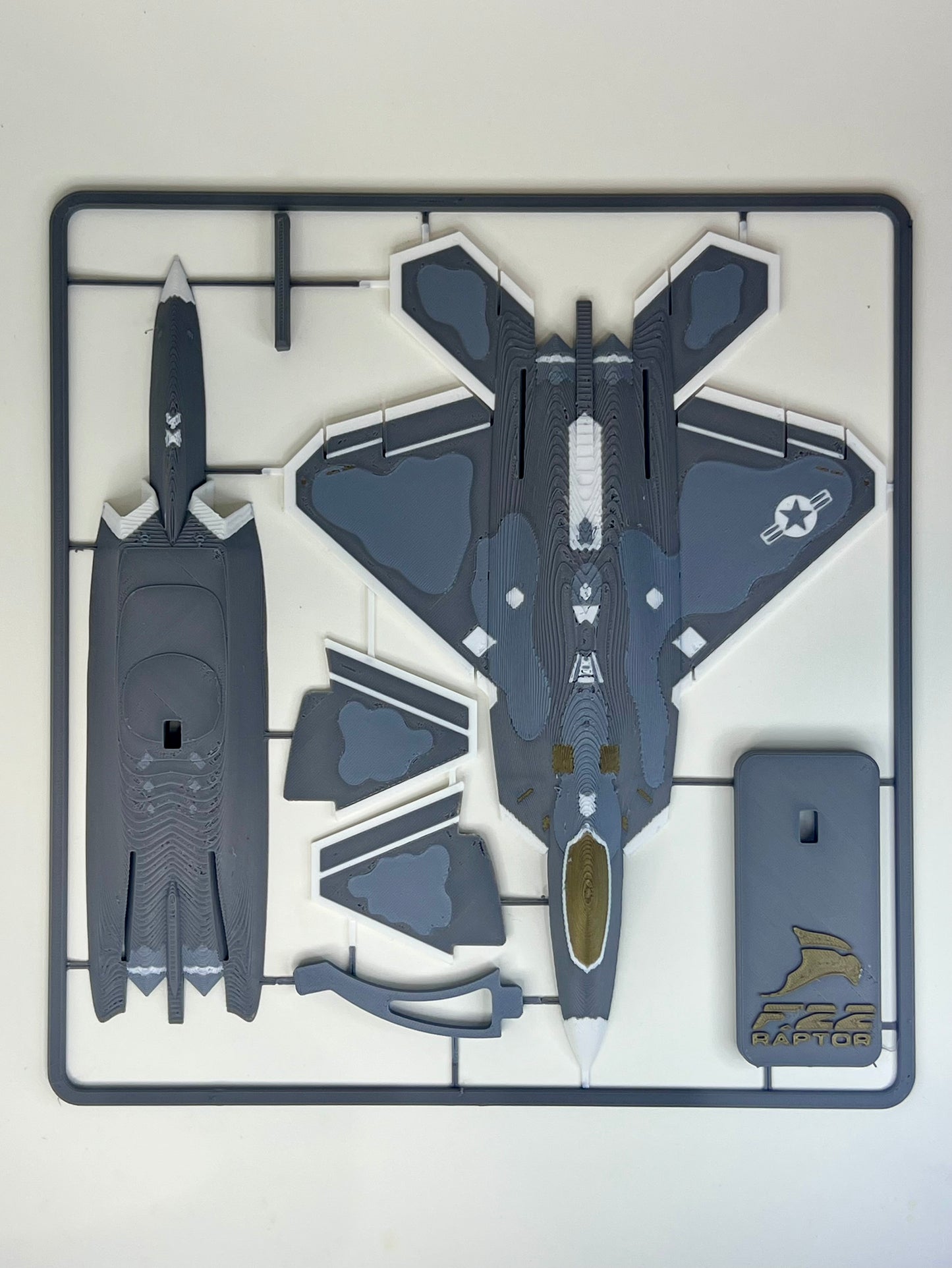 F-22 Raptor - Plane Kit Card (Collectible)